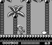 Adventure Island sur Nintendo Game Boy
